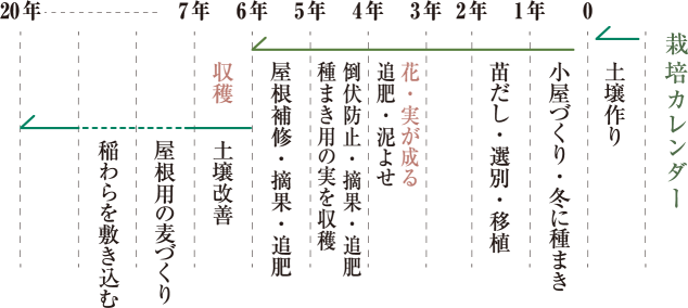 栽培カレンダー