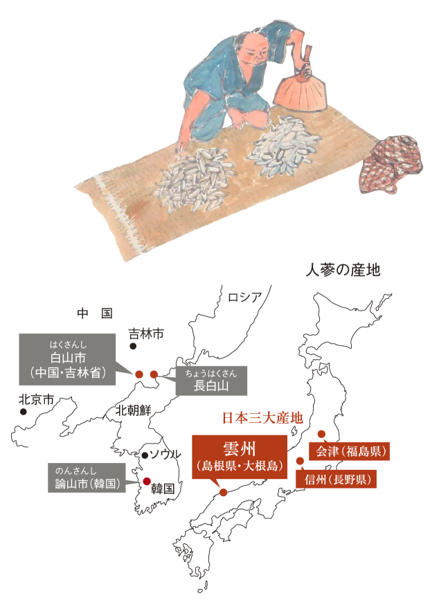 人蔘の産地【アジア】中国吉林省白山市・長白山、韓国論山市【日本三大産地】雲州（島根県大根島、会津（福島県）、信州（長野県）