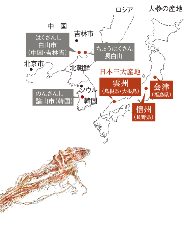 人蔘の産地【アジア】中国吉林省白山市・長白山、韓国論山市【日本三大産地】雲州（島根県大根島、会津（福島県）、信州（長野県）