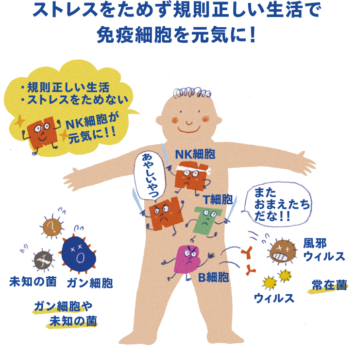 ストレスをためず規則正しい生活で免疫細胞を元気に!