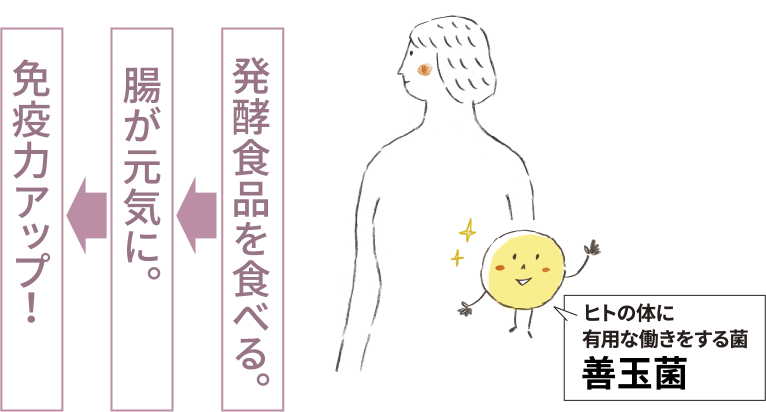 発酵食品を食べる→腸が元気になる→免疫力アップ!