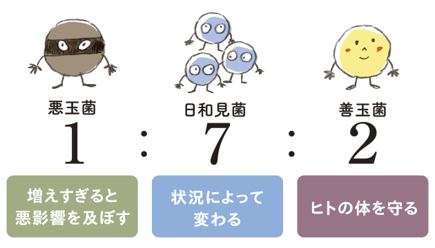 理想の腸内細菌バランスは 悪玉菌1:日和見菌7:善玉菌2