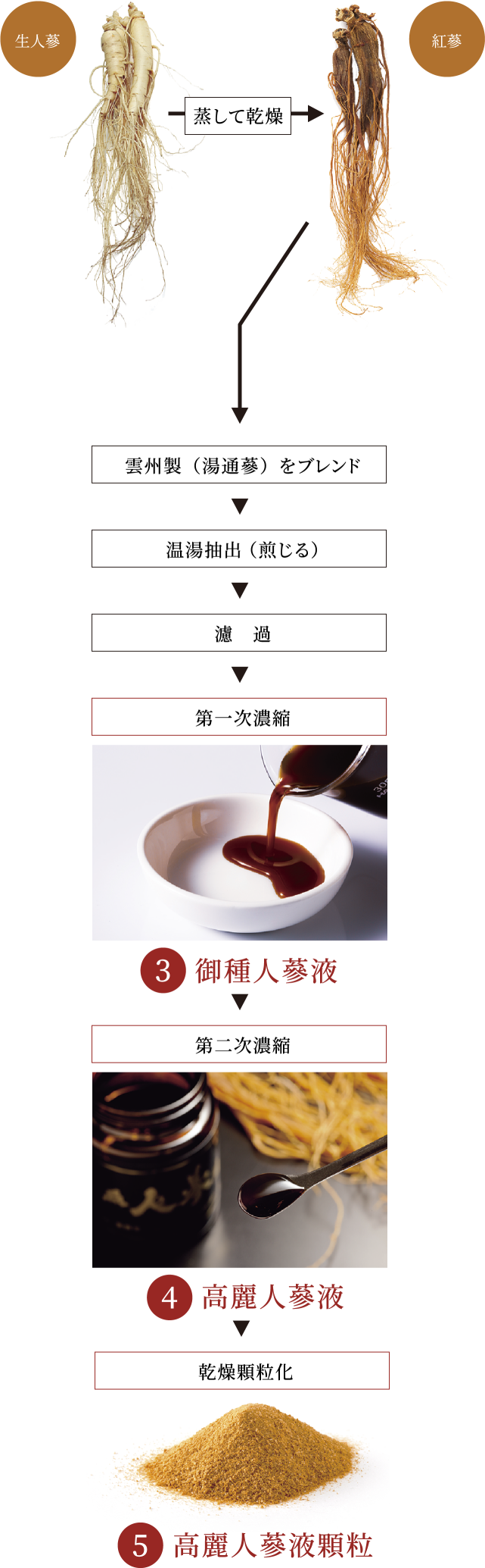 1.生人蔘を蒸して乾燥 → 2.乾燥したものを「紅蔘」 → 3.紅蔘に雲州製(湯通蔘)をブレンド → 4.温湯抽出(煎じる) → 5.濾過 → 6.第一次濃縮(これが「御種人蔘液」) → 7.第二次濃縮(これが「高麗人蔘液」) → 8.乾燥顆粒化(これが「高麗人蔘液顆粒」)