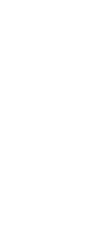 その他のおたね人蔘商品